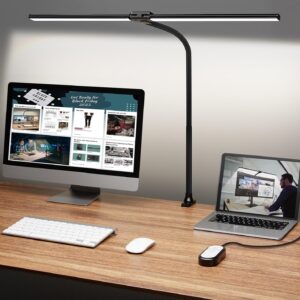 Double Head Desk Lamp -- B6B