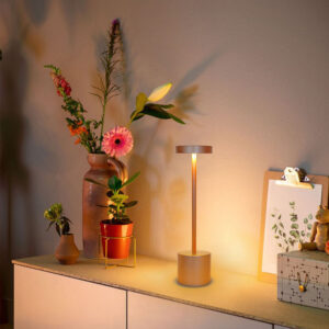 Rechargeable Table Lamp -- DL-09